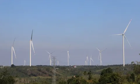 Ủy ban Kiểm tra Trung ương yêu cầu Đắk Nông cung cấp hồ sơ dự án điện gió