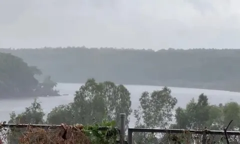 Bình Phước: Người dân vui mừng đón cơn “mưa vàng” đầu mùa