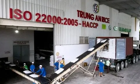 Cổ phiếu của Gạo Trung An bị hủy niêm yết bắt buộc
