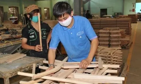 Được ngân hàng xóa nợ, Gỗ Trường Thành báo lãi tăng vọt