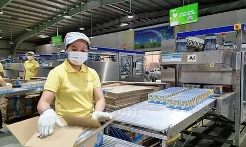 Chủ thương hiệu Vinasoy nắm giữ gần 7.300 tỷ đồng tiền mặt, có cả vàng và USD