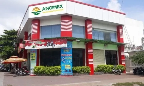 Tiếp tục thua lỗ, Angimex cắt giảm gần 90% chi phí nhân viên