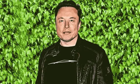 Bỏ mặc cả thế giới chạy theo mình làm xe điện, Elon Musk khiến nhà đầu tư bàng hoàng khi nói muốn biến Tesla thành 'công ty hoàn toàn khác', việc bán xe chỉ là phụ