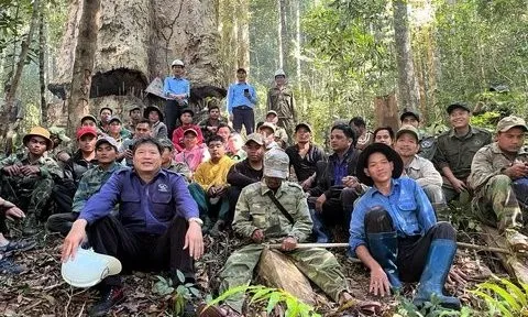 Kon Tum: Nỗ lực bảo vệ "báu vật" của buôn làng
