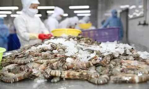 Sao Ta: Sản lượng tiêu thụ tôm tăng, nông sản giảm trong tháng 4/2024