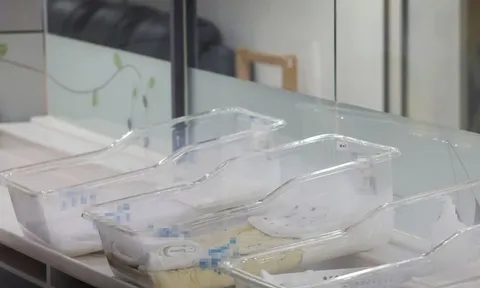 Hàn Quốc suy giảm dân số trong độ tuổi lao động