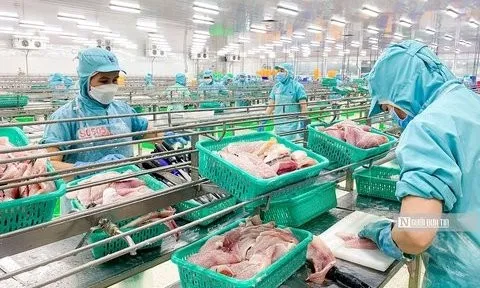 Vay nợ chiếm hơn nửa tài sản của Tập đoàn Sao Mai