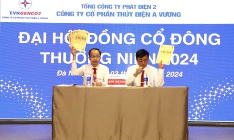 Vì sao Thủy điện A Vương đặt mục tiêu doanh thu lẫn lợi nhuận giảm?