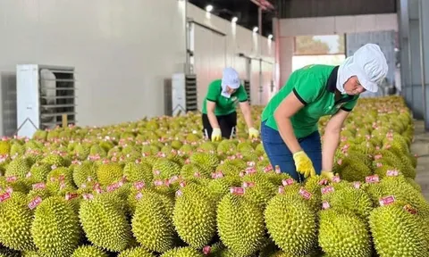 Rộng cửa cho hàng hóa Việt Nam thâm nhập vào thị trường UAE