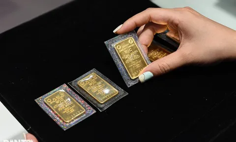Kỷ lục mới của giá vàng: 90,5 triệu đồng/lượng