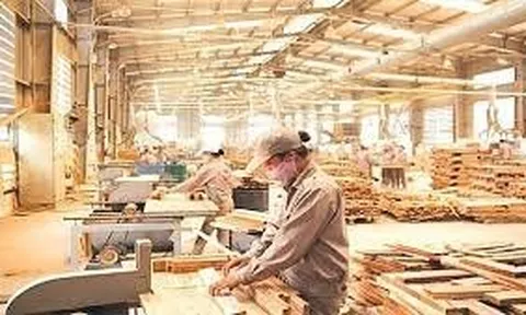 Tăng trưởng tích cực từ xuất khẩu gỗ và những kỳ vọng