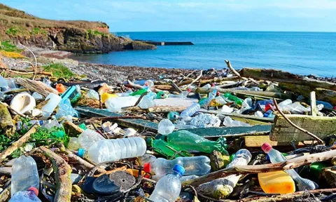 Giảm thiểu rác thải nhựa trong ngành du lịch