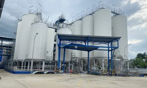 Nhà máy bia Heineken ở Quảng Nam dừng hoạt động