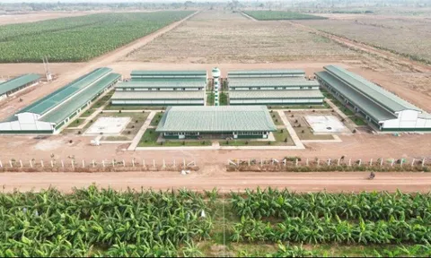 Thaco Agri chăm lo đời sống người lao động tại các khu liên hợp