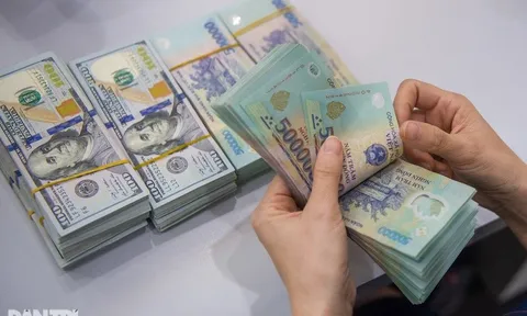 Vì đâu tỷ giá tự do vượt đỉnh kỷ lục 26.000 đồng/USD?