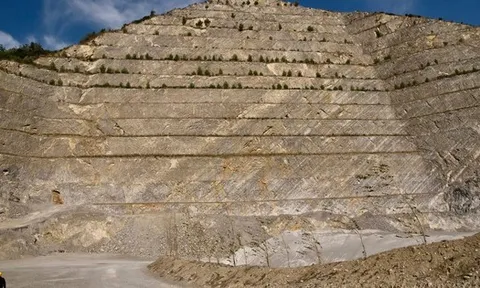 Thứ làm sinh vật kỷ Jura tuyệt chủng đang "hồi sinh"?