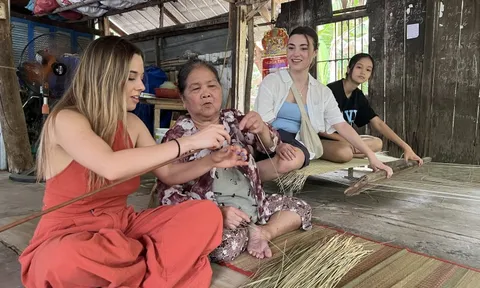 Hơn 1,28 triệu lượt khách đến Bến Tre trong 6 tháng đầu năm 2024