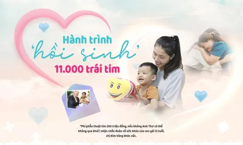 Hành trình 'hồi sinh' 11.000 trái tim