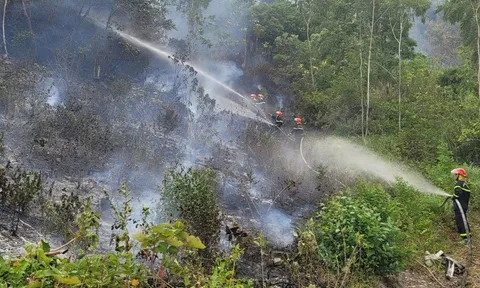 Hàng trăm người đang nỗ lực dập lửa trong vụ cháy rừng ở Quảng Bình