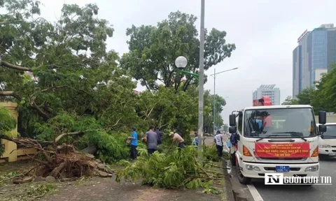 Giám đốc cử người ra miền Bắc hỗ trợ bão lũ: "Khi nào hết việc mới về"