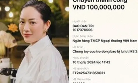 Mai Thanh Hà góp 100 triệu, cùng báo Dân trí cứu trợ đồng bào trong lũ dữ