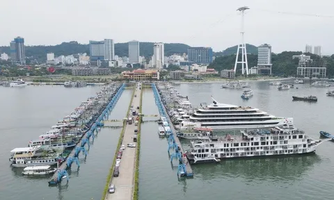 Vịnh Hạ Long sẵn sàng đón tiếp, phục vụ khách du lịch sau bão Yagi