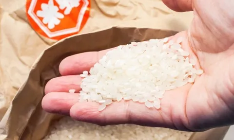 Bi hài Nhật Bản: Quá đông du khách dẫn đến thiếu gạo, siêu thị phải giới hạn số gạo mỗi người được mua, khủng hoảng chưa từng có trong nhiều thập kỷ