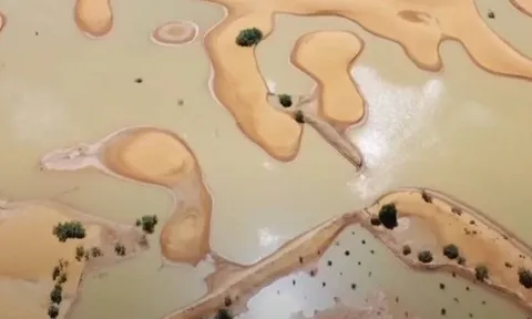 Lượng mưa lịch sử gây lũ lụt tại sa mạc Sahara: Hiện tượng vô cùng hiếm gặp này liệu có phải 'dấu hiệu' của thảm họa?