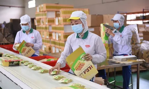 PAN Group báo lãi tăng vọt nhờ đâu?