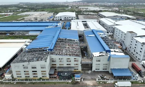 Bão Yagi cuốn bay lợi nhuận nhiều doanh nghiệp