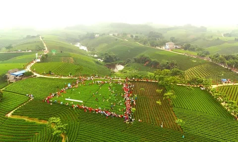 Cầu nối mở rộng liên kết để phát triển du lịch