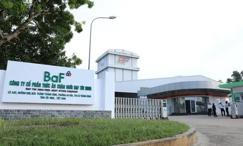 Không còn doanh thu nông sản, BAF vẫn lãi lớn nhờ nuôi heo