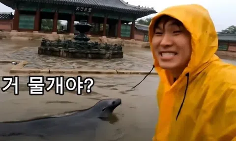 Video AI giả cảnh lũ lụt tại cung điện gây lo ngại về deepfake ở Hàn Quốc