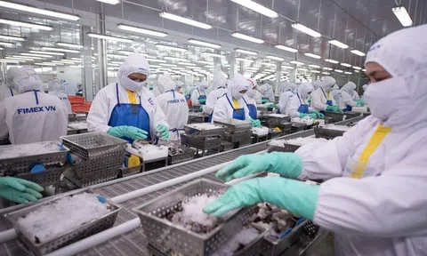 Lợi nhuận tăng trưởng, Tập đoàn PAN giảm đầu tư chứng chỉ tiền gửi