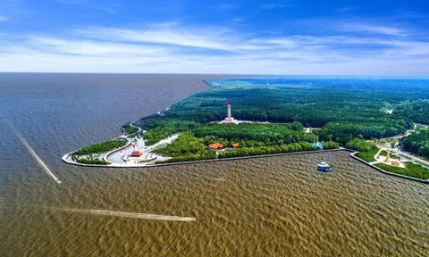 Cà Mau đón hơn 5,1 triệu lượt khách du lịch, doanh thu gần 5.000 tỷ đồng