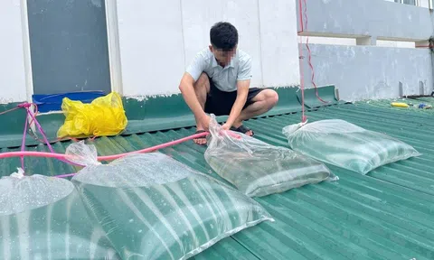 Ba người bị điện giật khi bơm nước vào túi bóng chặn mái tôn chống bão