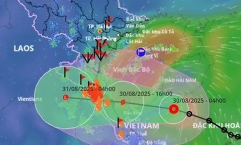 Bão Nongfa áp sát đất liền, loạt chuyến bay bị điều chỉnh lịch