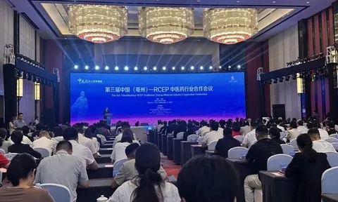 Xinhua Silk Road: Hợp tác khu vực được nhấn mạnh tại Hội nghị Hợp tác Ngành Y học Cổ truyền Trung Quốc (Bạc Châu) - RCEP