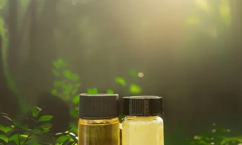 Terra Oleo ra mắt sau giai đoạn hoạt động kín với khoản đầu tư 3,1 triệu USD và được lựa chọn vào chương trình Đồng hành của Breakthrough Energy để tái định nghĩa chất béo và dầu