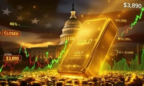 Cơn bão hoàn hảo đẩy vàng phá đỉnh lịch sử