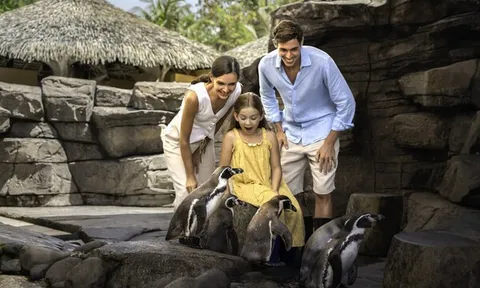 Bali, hành trình phiêu lưu kỳ diệu - Marine Safari Bali mang đến làn sóng khám phá đại dương mới tới khu vực Đông Nam Á