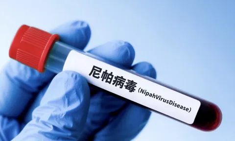 NÓNG: Các nhà khoa học Trung Quốc tìm ra thuốc kháng virus Nipah