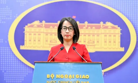 Việt Nam sẽ phối hợp chặt chẽ với WHO phòng, chống dịch Nipah