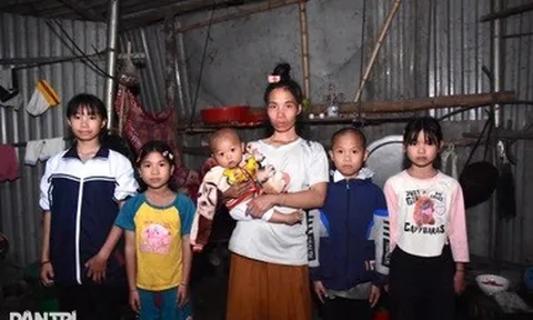 Mã số 5849: Vợ tâm thần, chồng cùng cực lo 6 con thơ đứt bữa