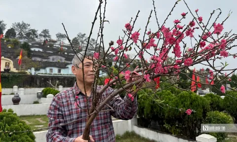 Vượt trăm cây số để "mời các cụ" về ăn Tết