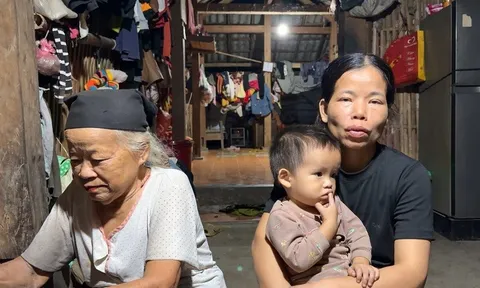 Mã số 5851: Cha già suy thận đau đớn, 3 thế hệ chật vật tồn tại nơi rừng sâu núi thẳm