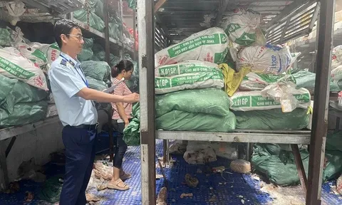 Buôn lậu "lên đời": Bỏ xe máy, dùng container chở hàng cấm