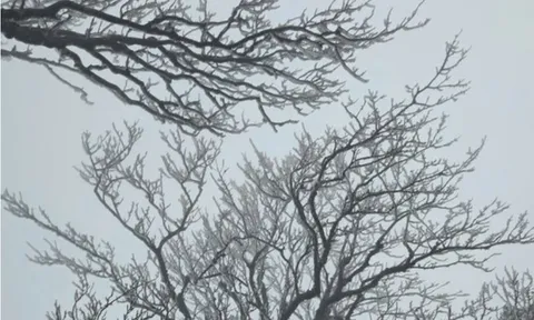 Đợt không khí lạnh mới cực mạnh bao phủ, miền Bắc chuyển rét đậm, có nơi dưới 8 độ