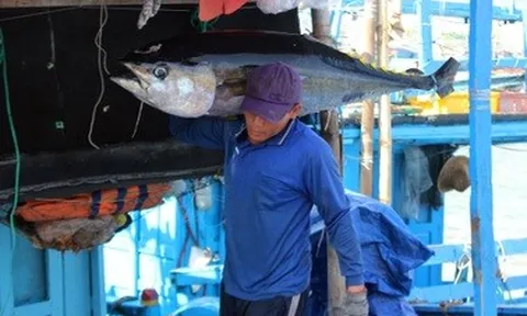 Xuất khẩu thuỷ sản sang Trung Quốc tăng, bù đắp cho thị trường Mỹ