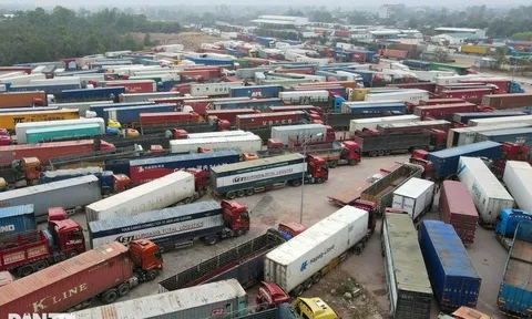 Hải quan hỏa tốc yêu cầu toàn ngành trực 24/7 "giải cứu" hàng ùn ứ